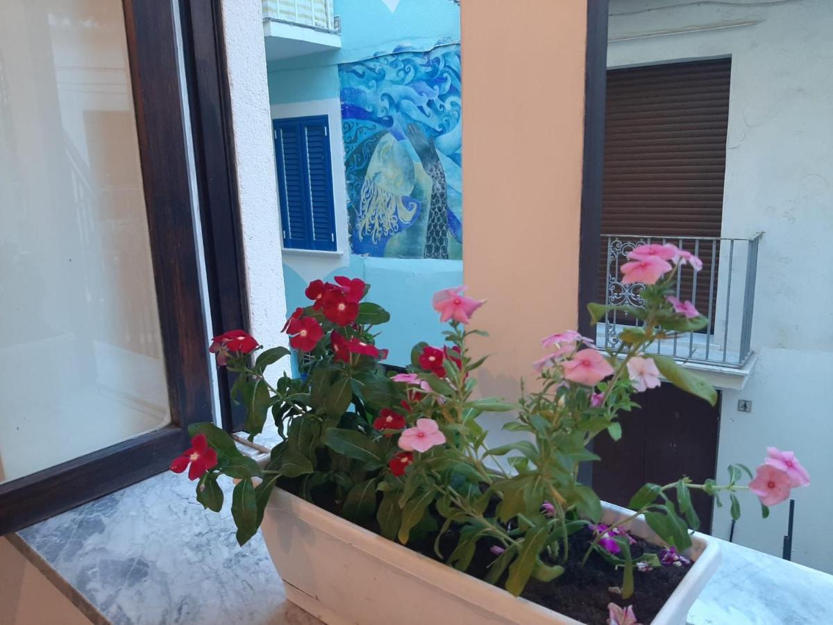 La Vie En Rose - Casa Vacanze Diamante Extérieur photo